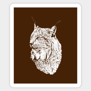 Lynx Sticker